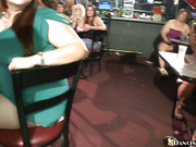 Dancing bear gets his fill of horny ladies at the club